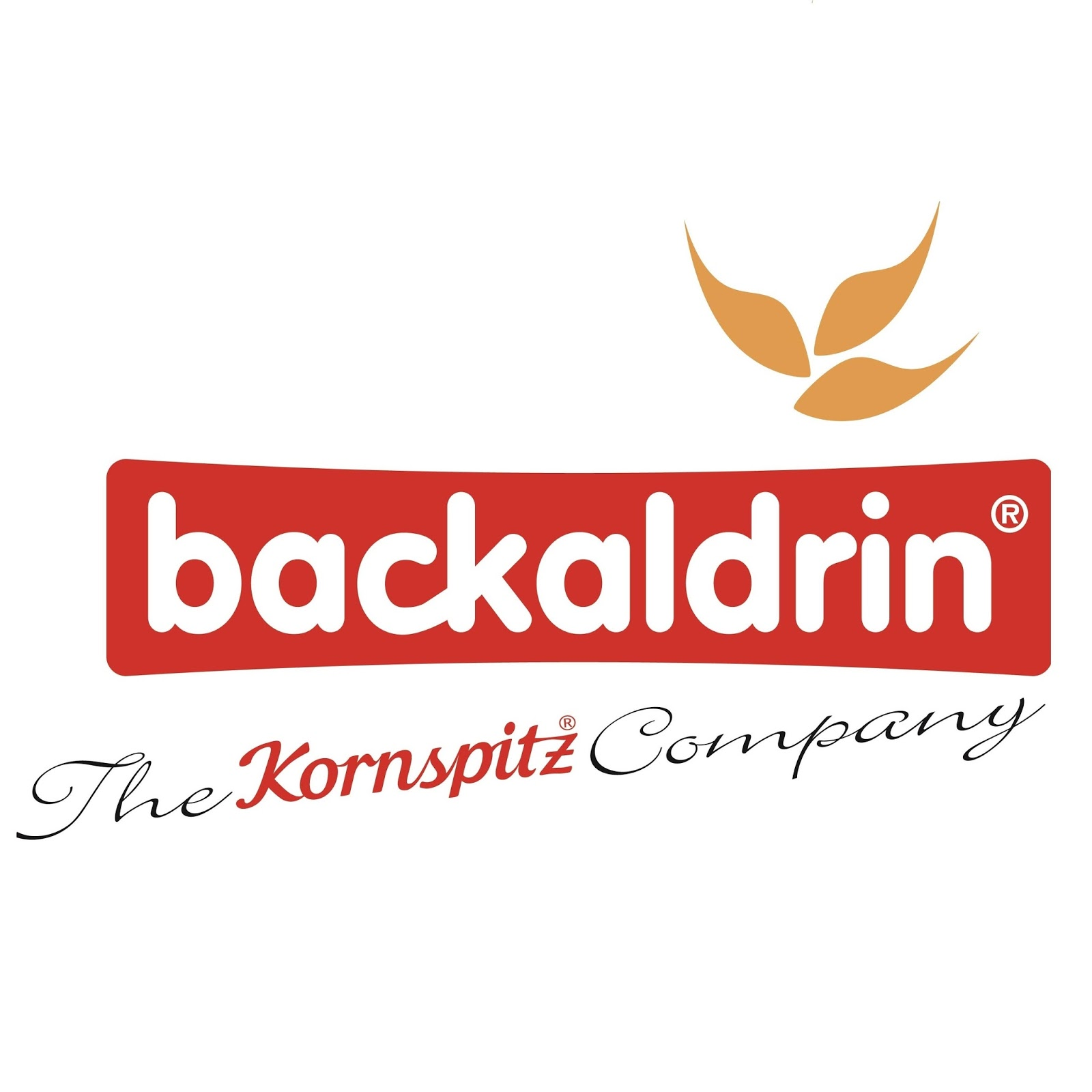 شركة بكالدرين عرب الاردن